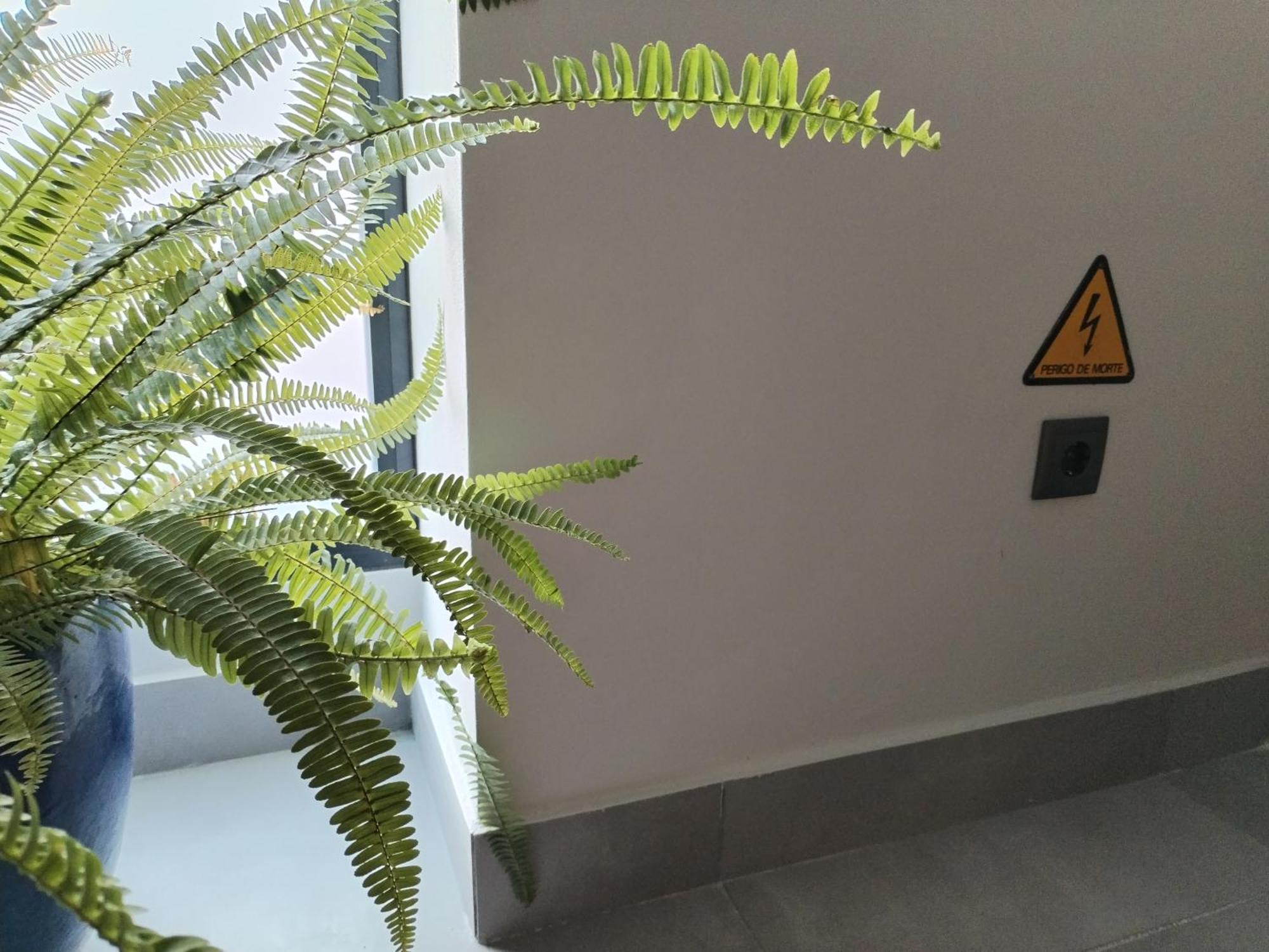 Casa Do Favinha Βίλα Machico  Εξωτερικό φωτογραφία