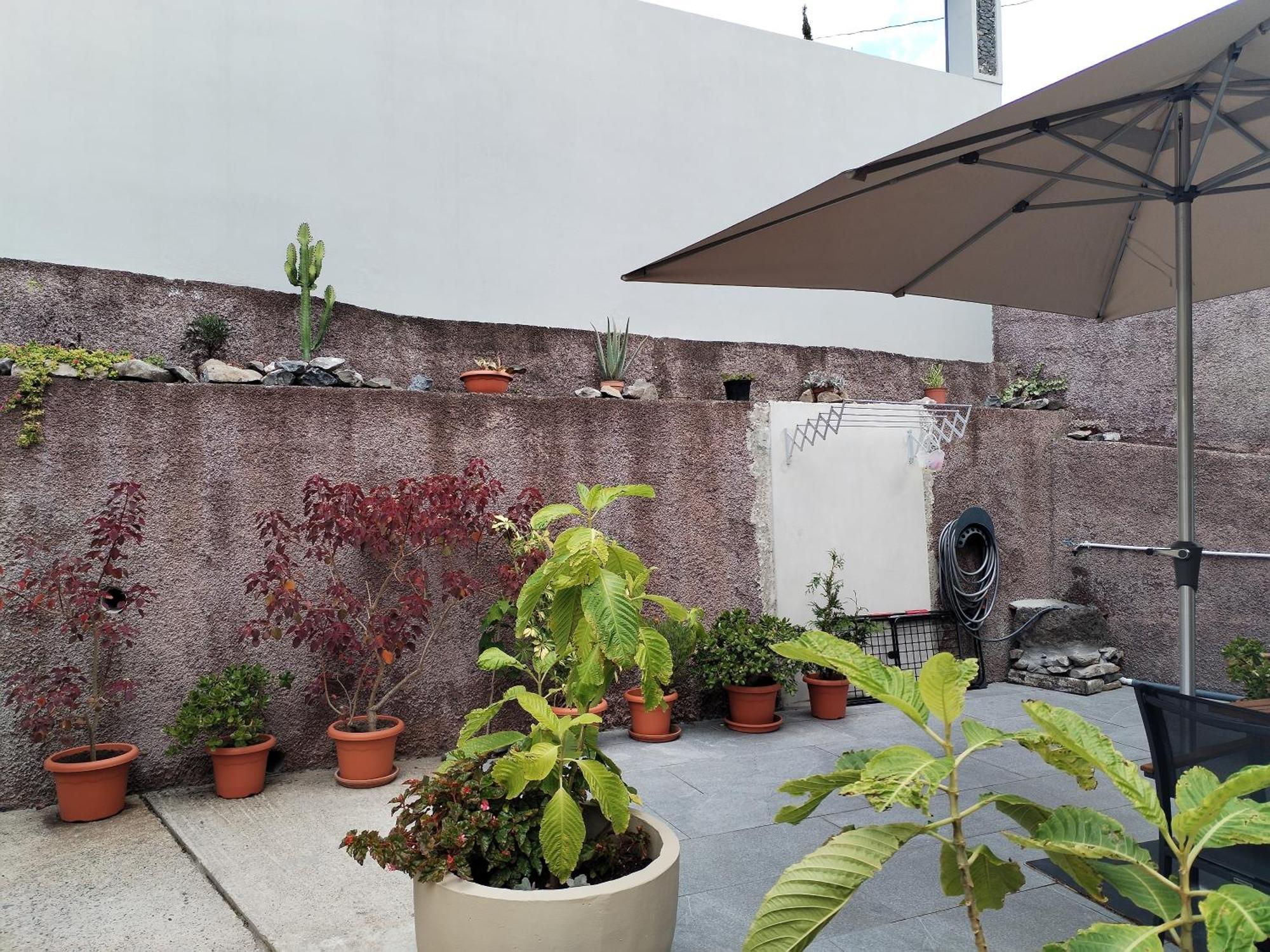 Casa Do Favinha Βίλα Machico  Εξωτερικό φωτογραφία